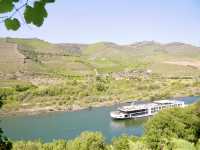 🇵🇹杜羅河谷Douro valley｜遊船賞巨幅葡萄園美景