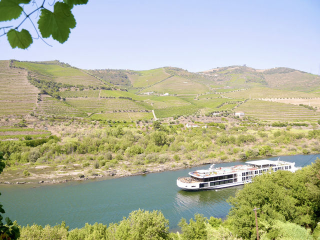 🇵🇹杜羅河谷Douro valley｜遊船賞巨幅葡萄園美景