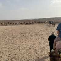A trip to the Desert