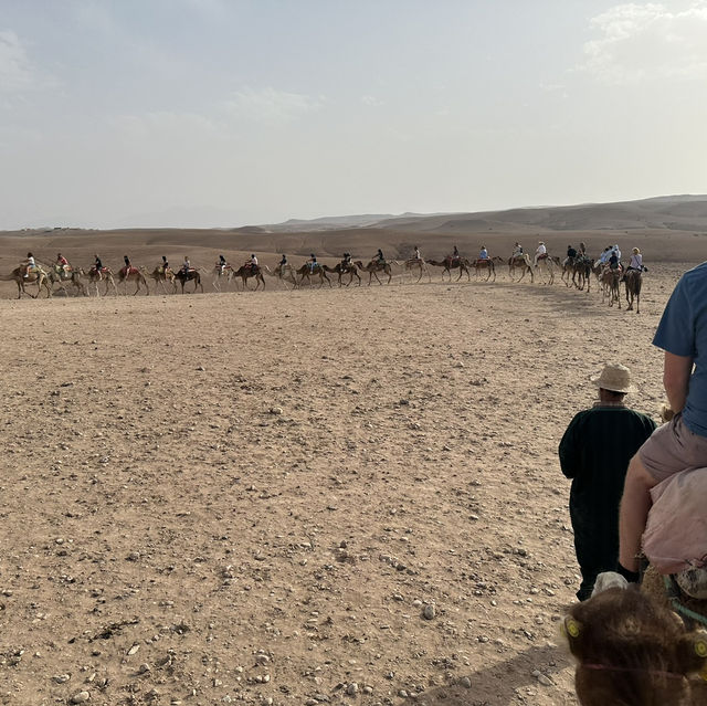 A trip to the Desert