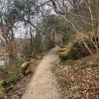 The perfect winter walk 