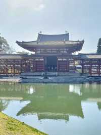 【京都:宇治】桜と抹茶の香りに包まれる春、宇治で特別なひとときを🍵🌸