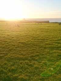 🌊 Wild & Rugged: A Gower AONB Adventure 🌿