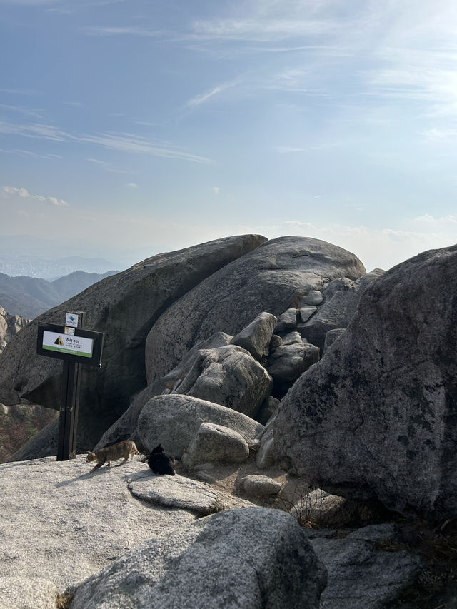🍂⛰️ Autumn Hiking in Bukhansan: Seoul’s Mountain Escape