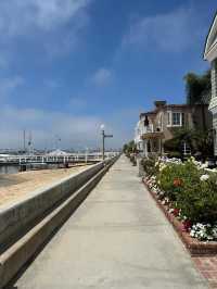 Beautiful Balboa