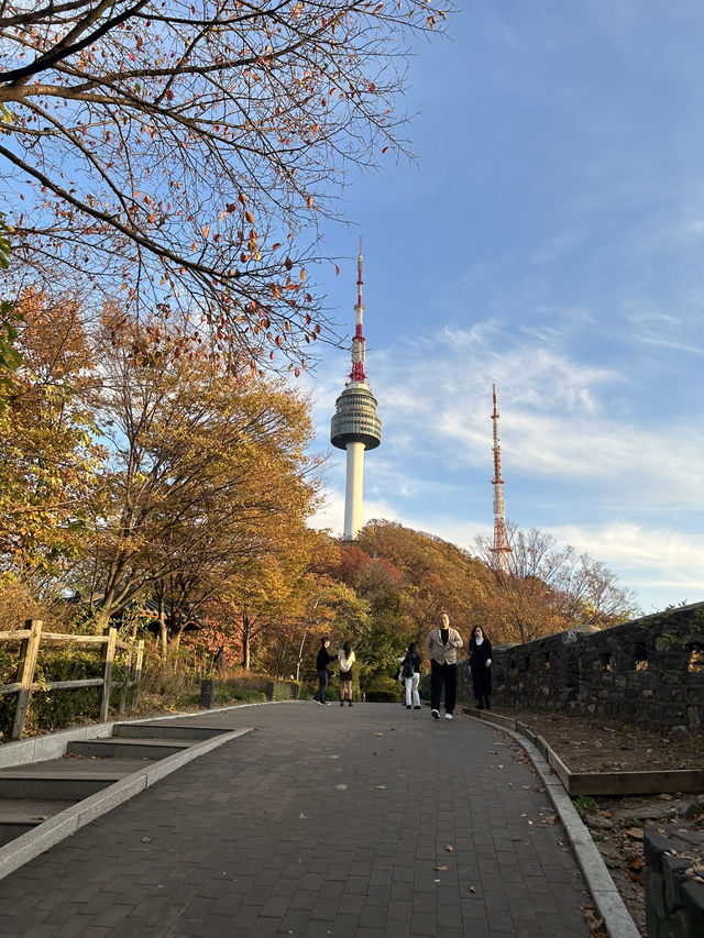 🌆🌿 Seoul from Above: N Seoul Tower & Namsan Park