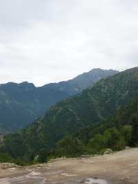 Triund Hike, Dharamshala