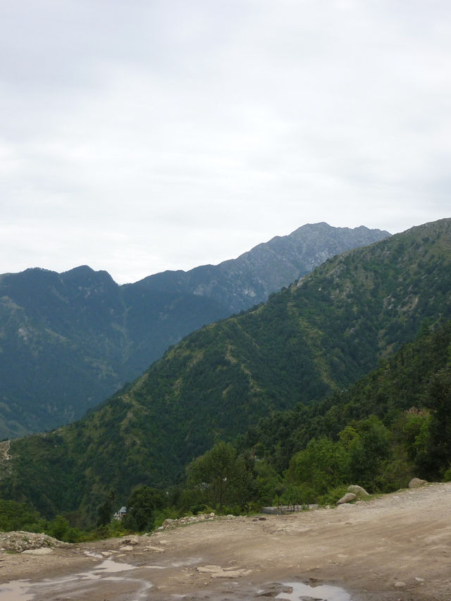 Triund Hike, Dharamshala