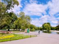 🌳 A Perfect Escape in Regent’s Park: London’s Green Oasis 🌿✨