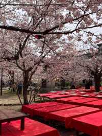 It is also known as the shrine where the Gion Festival was born.