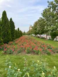 Spring in Dushanbe – Monument of Ismoili Somoni in Full Bloom
