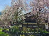 Shirakawa-gō: Thatched Roofs, Mountain Breezes, and Sweet Churros