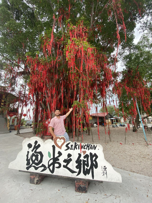 Sekinchan, Malaysia: The Secret Countryside Escape You Didn’t Know You Needed