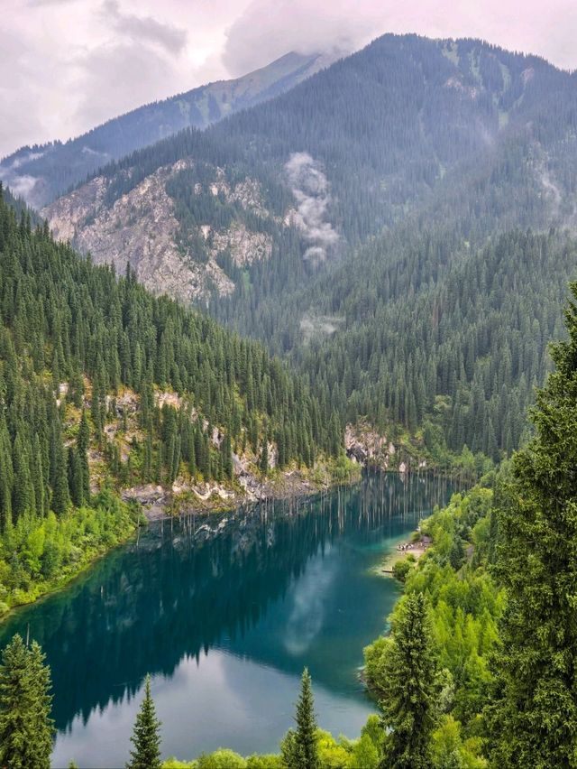 Have You Ever Seen Trees Growing From the Lake? Come to Kazakhstan!