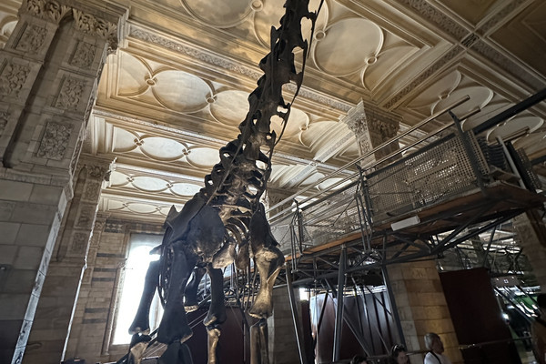 The natural history museum in | Trip.com London
