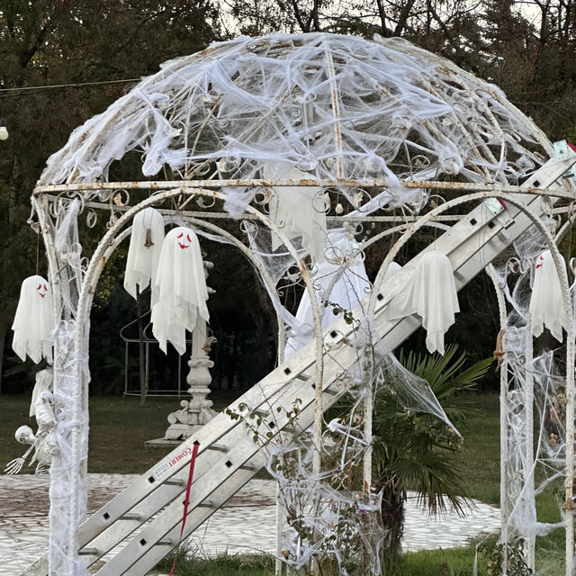 Hello Halloween Istanbul 🎃🕸️ Hello Halloween Istanbul 🎃🕸️