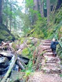 A magical walk in Puck's Glen, Dunoon