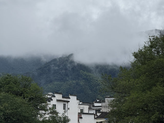 Mountain Mist Views⛰️