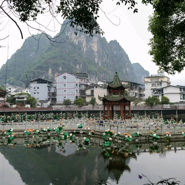 陽朔綠意角落的靜謐漫步 