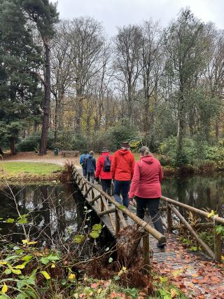 🇳🇱 Oranjewoud Travel Guide | Nature Walks & Culture in Friesland 🇳🇱