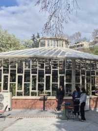 🍁 Botanical Park – Autumn Among Architecture & Nature 🏛️🌿