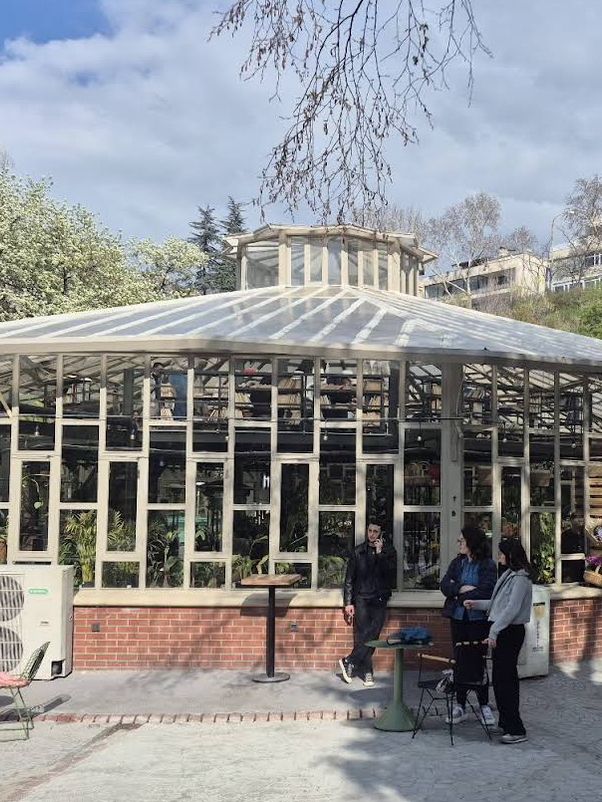 🍁 Botanical Park – Autumn Among Architecture & Nature 🏛️🌿 🍁 Botanical Park – Autumn Among Architecture & Nature 🏛️🌿