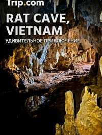Discover Vietnam's Mysterious Rat Cave
