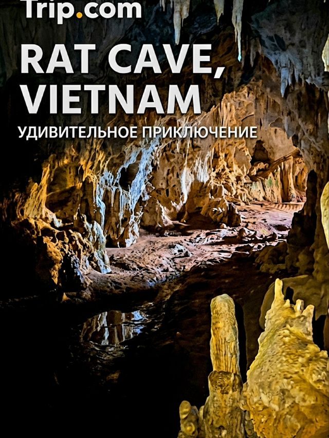 Discover Vietnam's Mysterious Rat Cave