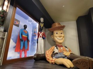 Fireworks and Evening Celebrations  Lighting up the night sky. 🎆🏰✨