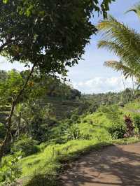 Epic Indonesia: Jungle Vibes, Island Hopping, and Bali Dreams 🌴🦎✨
