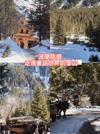 Poland Travel - Winter Edition Ocean Eye Travel Guide ❄️