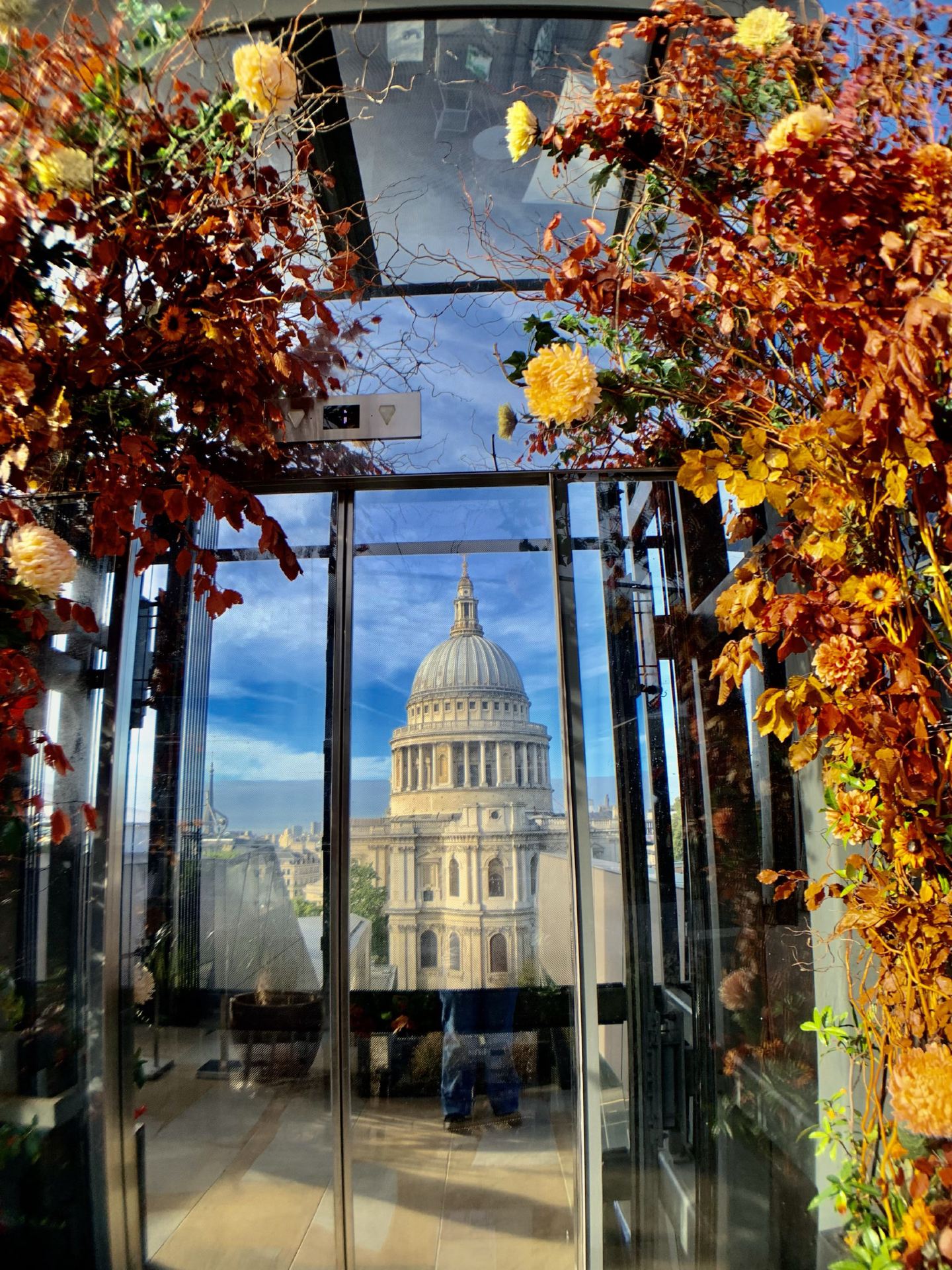 🍂 Autumn in London: 7 places you should see this time of year 🇬🇧