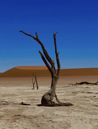 🇳🇦 Namibia — Where the Desert Meets Infinity 🏜️✨
