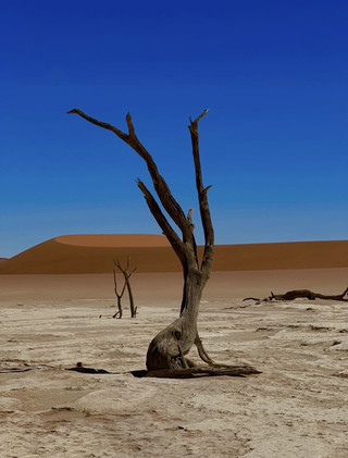 🇳🇦 Namibia — Where the Desert Meets Infinity 🏜️✨