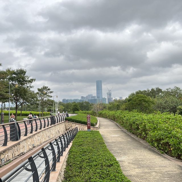 打卡深圳灣流花山公園