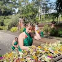 Tirta Empul Holy Water Bali