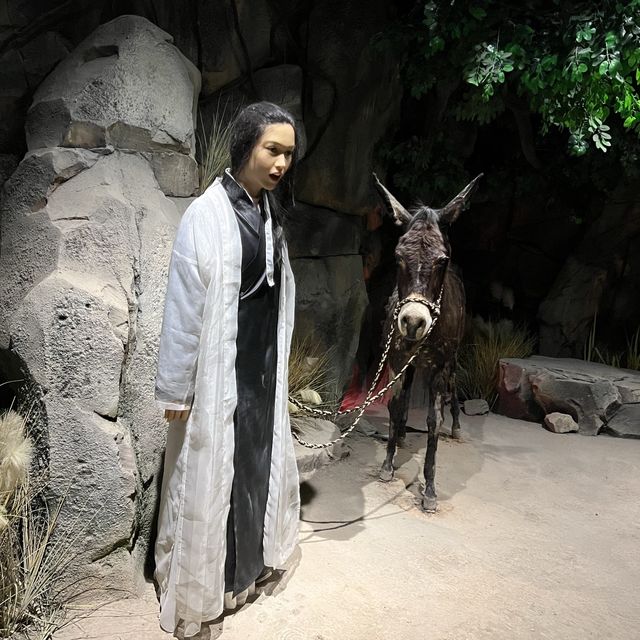 Film Museum in Xi’an 