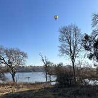 A Walk on the Wild-side (Cradle Moon, SA)