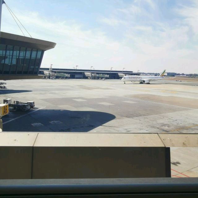 Flying from Johannesburg