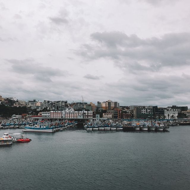 遊濟州🇰🇷西歸浦市鳥島
