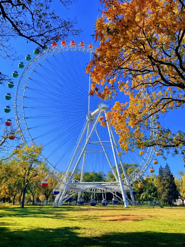 The atmosphere of this park in Beijing is absolutely beautiful