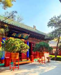 你的風追到了廣濟寺