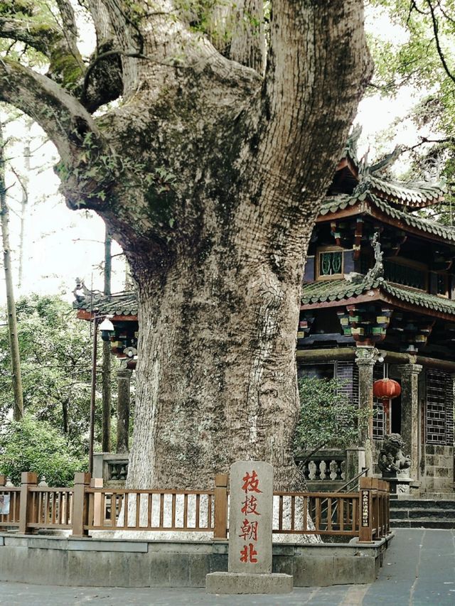 泉州安溪清水岩|仙境中的靈驗古寺！