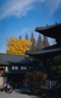 杭州徑山寺半日遊：冬日陽光下的寧靜與美麗