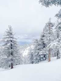 冬天一定要來太浩湖天堂滑雪場