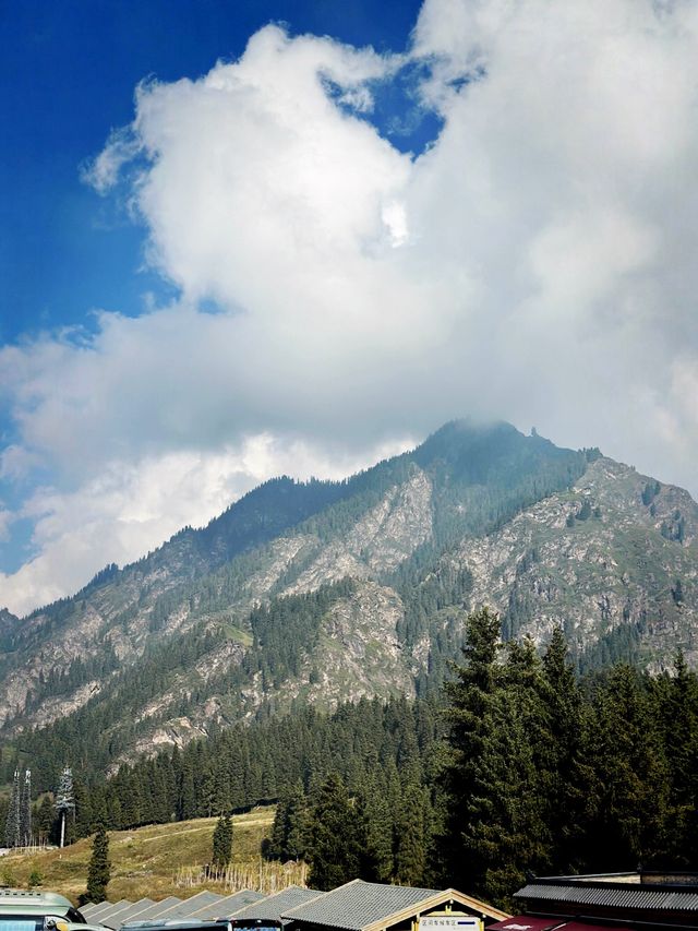 🇨🇳Lost in Tianchi Heavenly Park, Xinjiang!