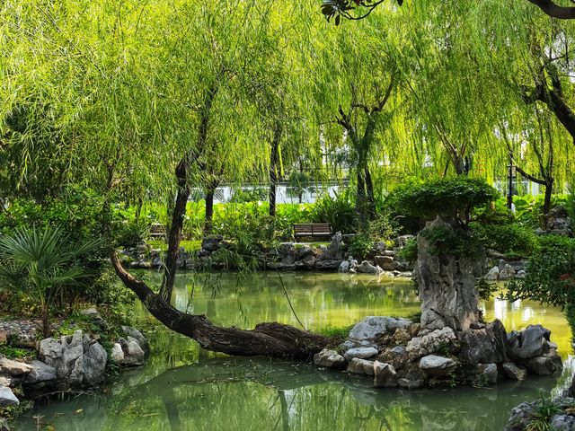 淮安｜山水園林 清晏園