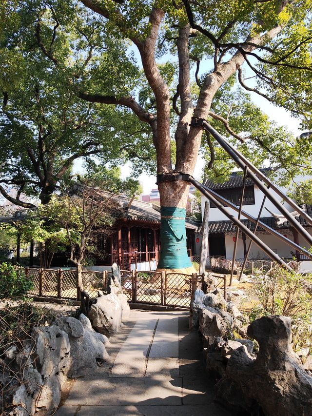 松江醉白池 松江醉白池