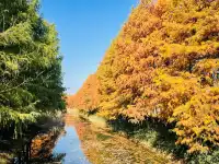 蘇州｜最美的秋天在這裡