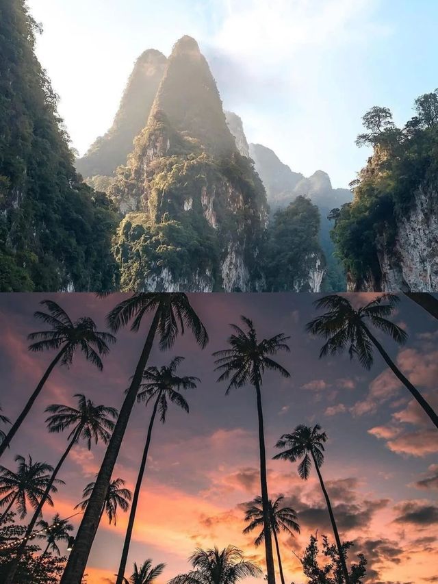 泰國藍夢之旅：洛克島的光影浮潛奇遇